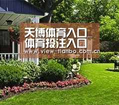 天博体育入口_体育投注入口