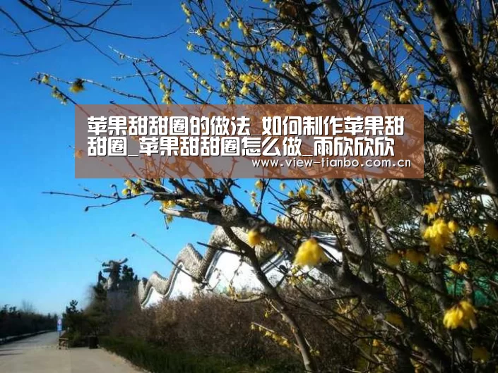 苹果甜甜圈的做法_如何制作苹果甜甜圈_苹果甜甜圈怎么做_雨欣欣欣的菜谱_天博体育手机版(图1) 天博体育下载