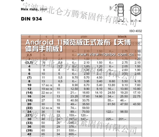 Android 11预览版正式发布【天博体育手机版】(图1) 天博体育手机版