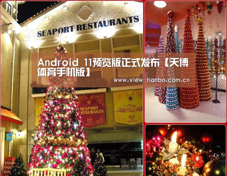 Android 11预览版正式发布【天博体育手机版】(图2) 天博体育入口