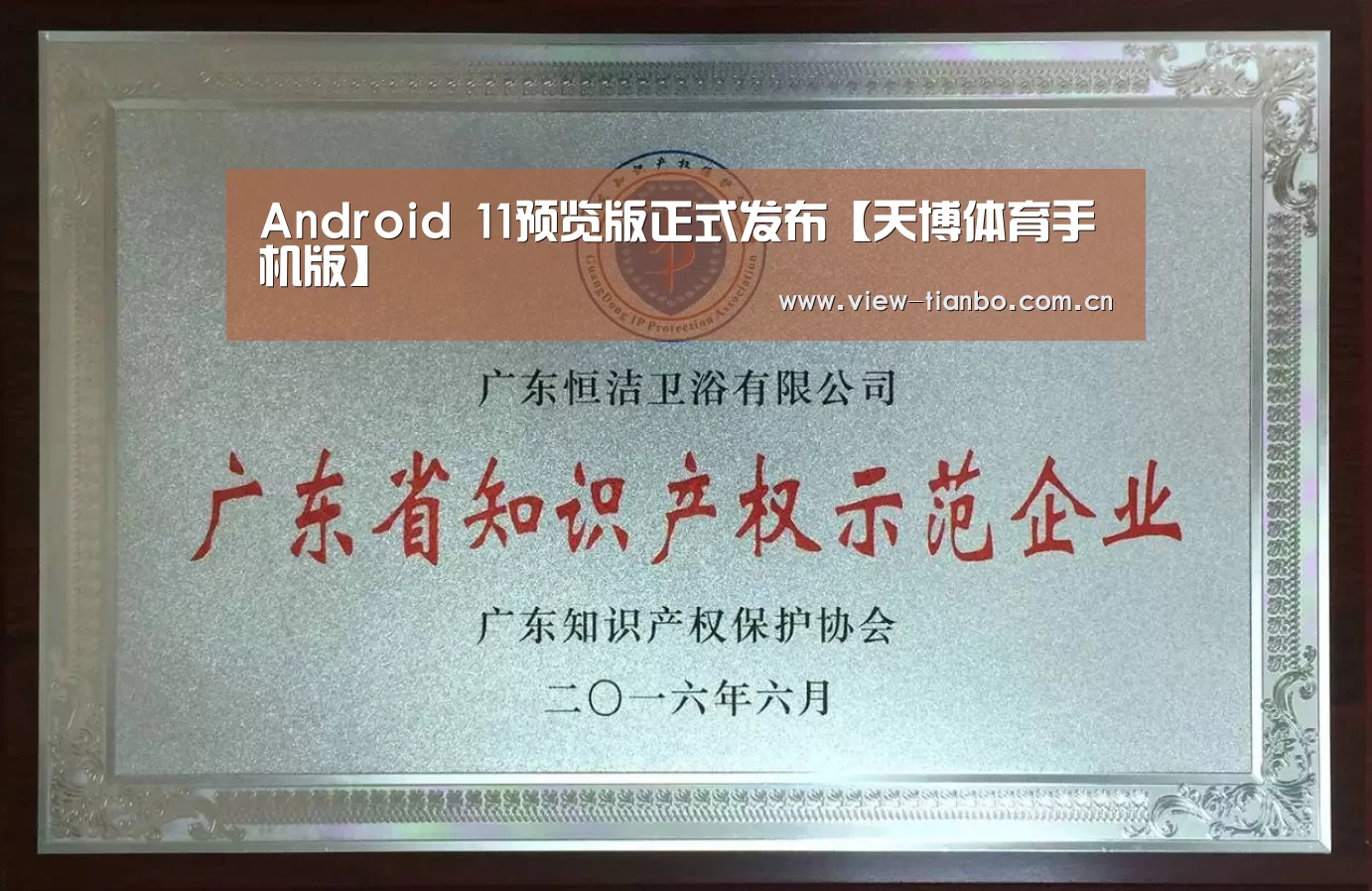 Android 11预览版正式发布【天博体育手机版】(图3) 天博体育手机版