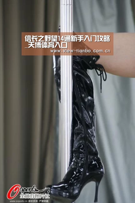 信长之野望14通新手入门攻略_天博体育入口(图3) 天博体育入口