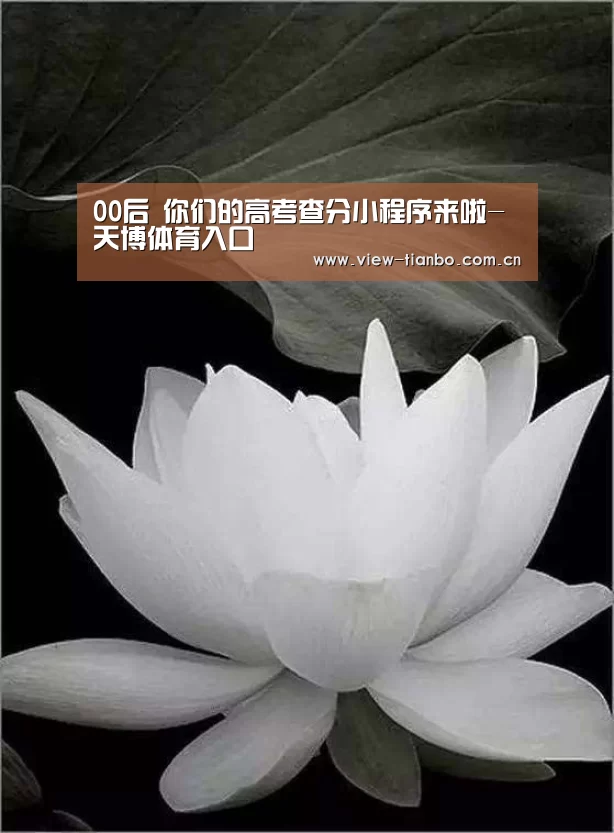 00后 你们的高考查分小程序来啦-天博体育入口(图4) 天博体育下载